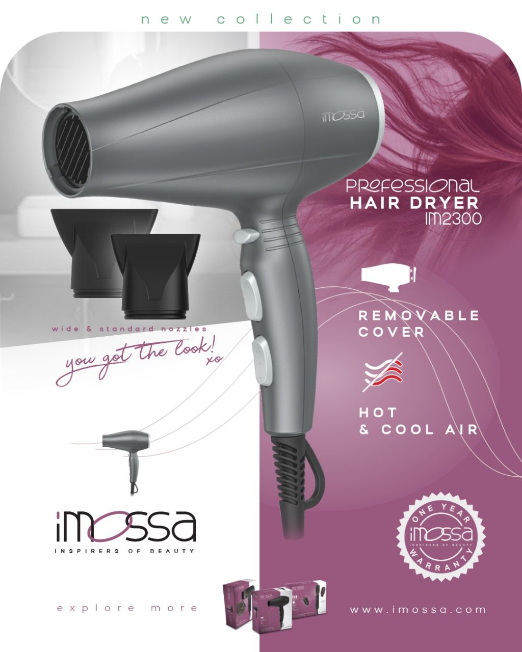Professional Hair Dryer Imossa 2300