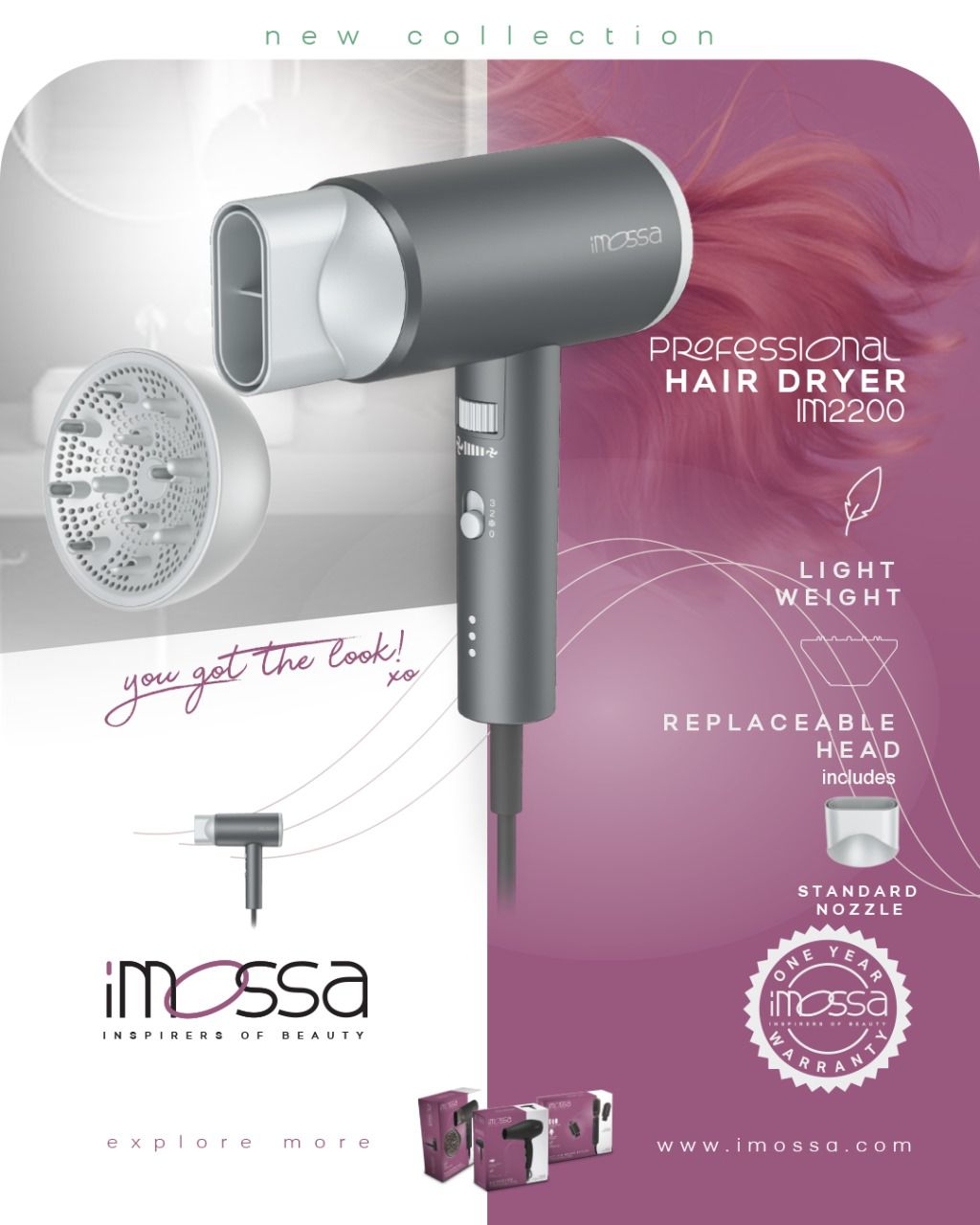 Professional Hair dryer Imossa 2200